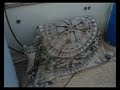 שלומי בר הצלם קנה דירה בבניין המלך ג'ורג' 47. הזמן השיפוץ רצה להציב דוד נוסף לדירה על הגג. אך בחר לעשות זאת על הגג שלי.פגשתי את הפועלים בזמן שהם הביאו את הדוד, הסברתי להם שהם לא יכולים להציב את הדודים והראיתי להם היכן להציב את הדוד. לאחר שיחה עם שלומי בר הם הלכו וחשבתי שבזה נגמר העניין.הבוקר מצאתי דוד חשמלי המחובר לדירה 10 באמצע הגג שלי. וזאת לאחר שהזהירו אותי הפועלים ש