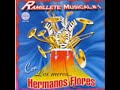 LOS HERMANOS FLORES  LA JICARA.wmv
