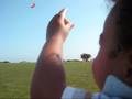 Flying Kites at the Park July 2008