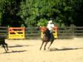 videos de Practica RANCHO 4R, 30-11-08, Ludwig y Ernesto I