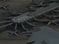 AA MD-80 ORD aborted approach