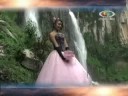 XV A�OS DE MIREYA