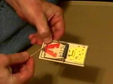 how to set a mousetrap