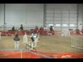 Terry-All AKC 2008 Sage JWW - Saturday