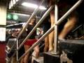 No Pants 2k7 2007 subway ride NY new york stairs