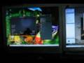 Sabayon Linux 64-bit test with dual monitors