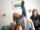 belettes en bretagne belettes en bretagne