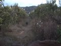 Javea caza con arco 2008