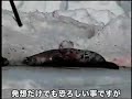 カナダ政府は毎年春、毛皮�...
