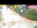 Zarabany jak swinia Zul ! Wroc?aw - Ul. Zrodlana