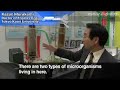 Chemical Free Microorganism Wastewater Treatment System