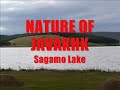 Սաղամո լիճը | Sagamo lake | Озеро Сагамо