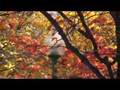 Sony dcr-sr200 test 1
