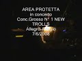 area protetta in concerto del 7/6/2008 a frassineto po (al)
conc. grosso n�1  allegro-adagio (shadows)per i new trolls
