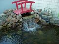 My Koi Pond My Koi Pond
