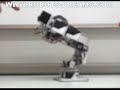 New Kondo Robot Controller With Multi-Tasking
