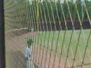 Joseph Doubles vs NY Gothams 16u WWBA 16u @ Kell HS 7-19-08