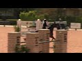 QUATRAIN ridden by AMBER HARTE at WEF 4 CSI 2*. This round is from class 1024, $1500 Adequan 8 Year Old Young Jumper Qualifier and finished 9 of 33.