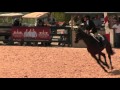 Video of QUATRAIN ridden by AMBER HARTE from ShowNet!