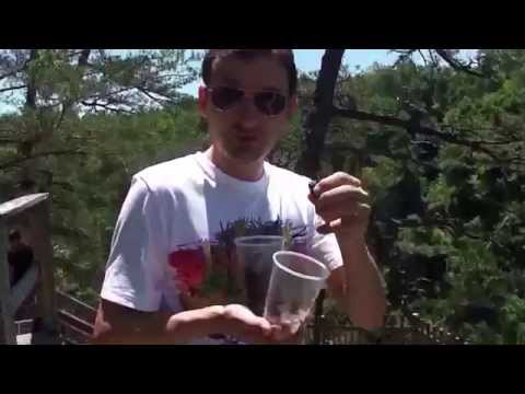 USA - Tallulah Falls, GA - Tallulah Gorge State Park - 05-11-2014