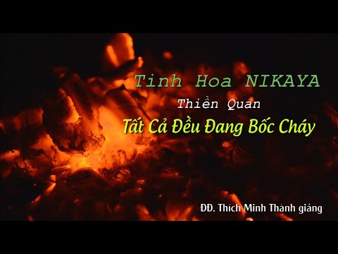 Tinh Hoa NIKAYA – Thiền Quán – Tất Cả Đều Đang Bốc Cháy