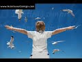 Espere... Vídeo para que você possa refletir.