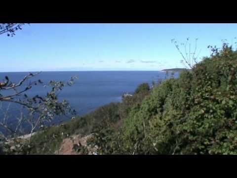 YouTube-forhåndsvisningsbillede