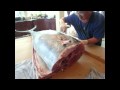 video ca canh dai duong Cau ca ngu dai duong 5 - YouTube