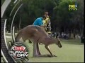 Kangaroo plays with itself at the Australian PGA