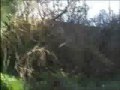 The Legend of Ferndown part i