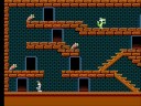 this is the first game in the crazy castle series which all feature the same kind of gameplay. this particular one actually appeared first in japan as roger rabbit. the only difference in the japanese original is that all the characters are roger rabbit related, the main character is roger rabbit instead of bugs bunny. both of them are a toon and a bunny, but later games in the series have mickey mouse and even a character as obscure as kid klown replaced by bugs bunny. i guess non-japanese are supposed to like this funny rabbit over anything else. lately, the series has taken a new twist and woody woodpecker is now starring in the game for all territories.