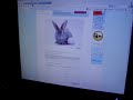 The Easter Bunny speaks