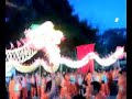 Vietnam LED Dragon