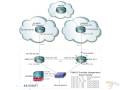 BGP Load Sharing on Dual Routers with Two ISPs