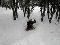 SnowGimp