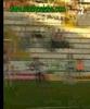 Sporting 1 - Elche 1 (Temporada 2007-08) www.muchoelche.com
