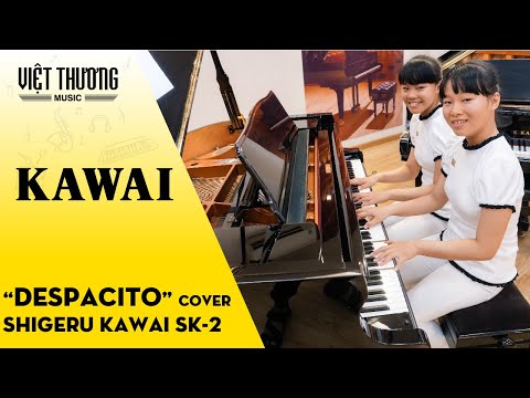 Despacito - Bản song tấu piano cover chất - Piano Shigeru Kawai SK-2