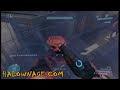 WTF - Masterchief Bobblehead?  LoL halo 3 beta