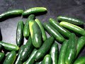 CUCUMBERS 36'S SANTA MONICA LOT 1CR CUCUMBERS 36'S SANTA MONICA LOT 1CR