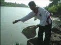 Merpati Putih Tradisi 2003 - (01)
