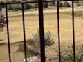 Kayacilar K�y�  Kizik Bozkir