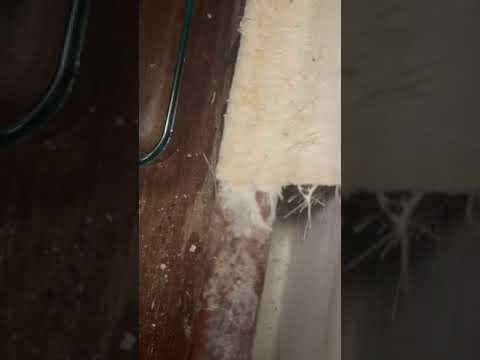 American Standard - My walk in Liberation Tub