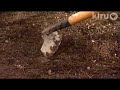 John Dromgoole Central Texas Gardener: how to dig a hole John Dromgoole Central Texas Gardener: how to dig a hole