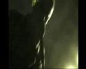Ectoplasmic