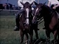 Brleslau 1938