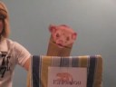 Kinkajou 4 You! Kinkajou 4 You!