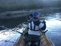 Salmon Fishing, Tenojoki, Finland