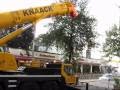 Mobilkran hebt PKW-Anhänger