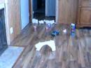 remote control car:try 2 remote control car:try 2