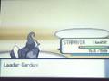 videos de Pokemon Pearl Gym Battle